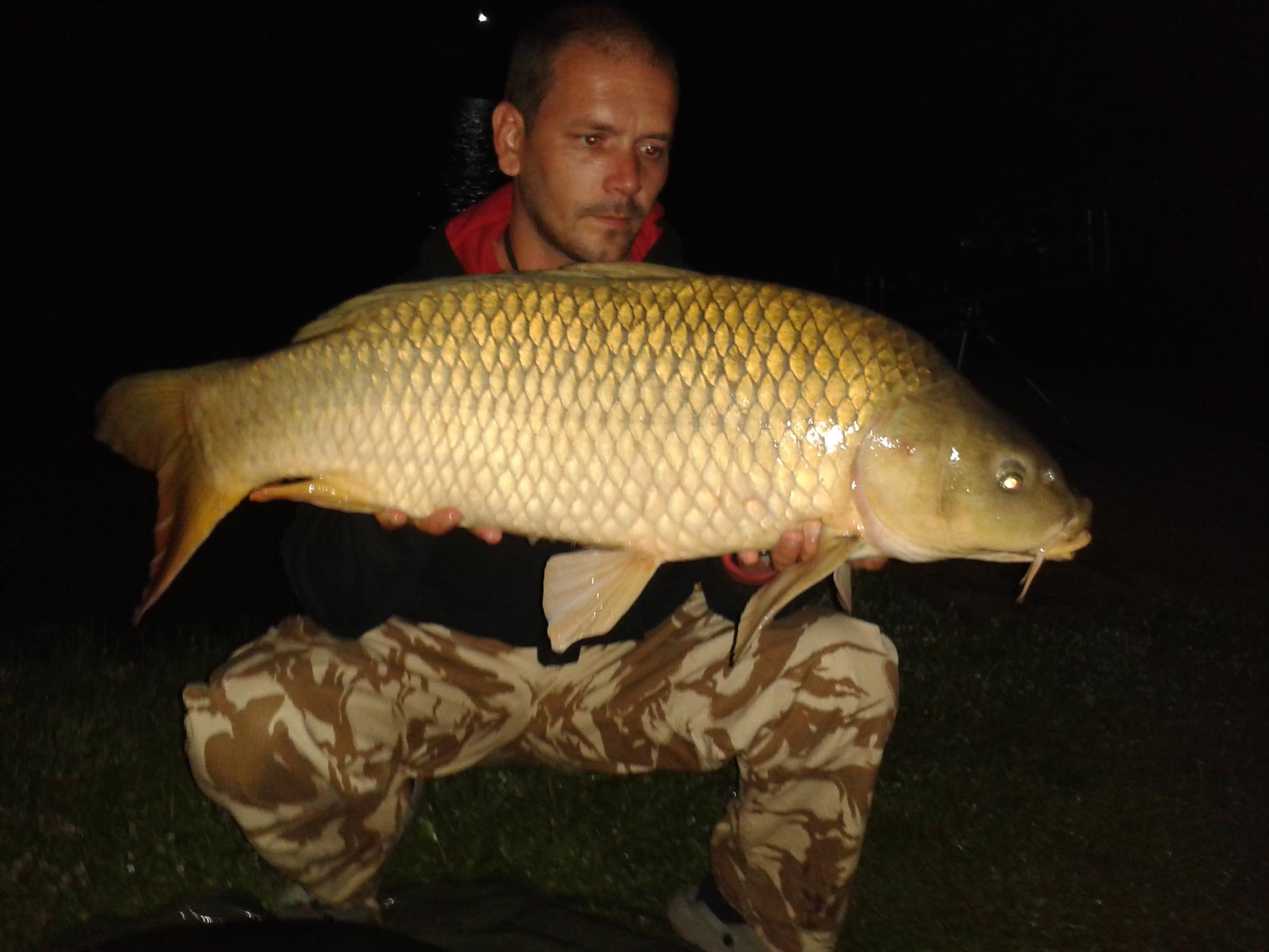  2 - 20140805011153.jpg